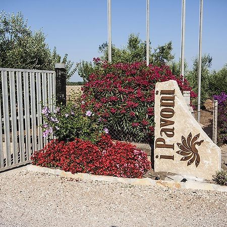 Apartamento Agrimare I Pavoni Montalto di Castro Exterior foto