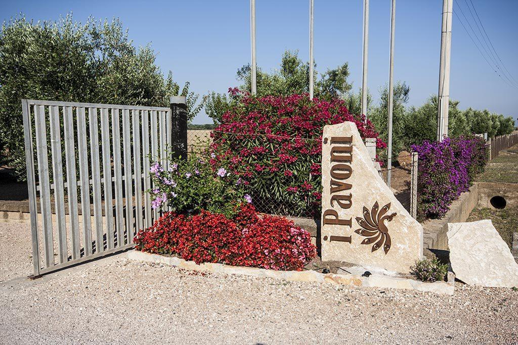 Apartamento Agrimare I Pavoni Montalto di Castro Exterior foto