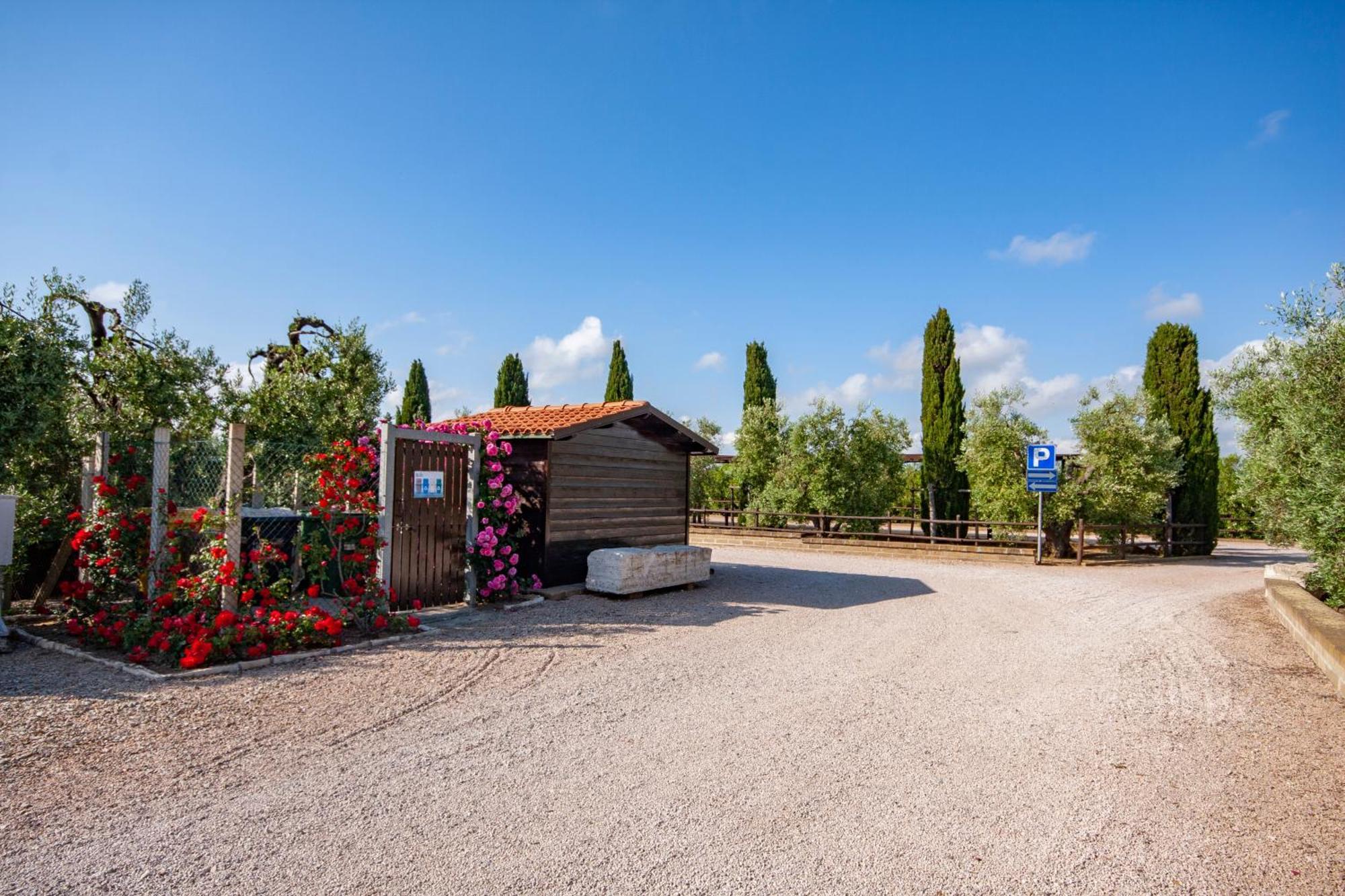 Apartamento Agrimare I Pavoni Montalto di Castro Exterior foto